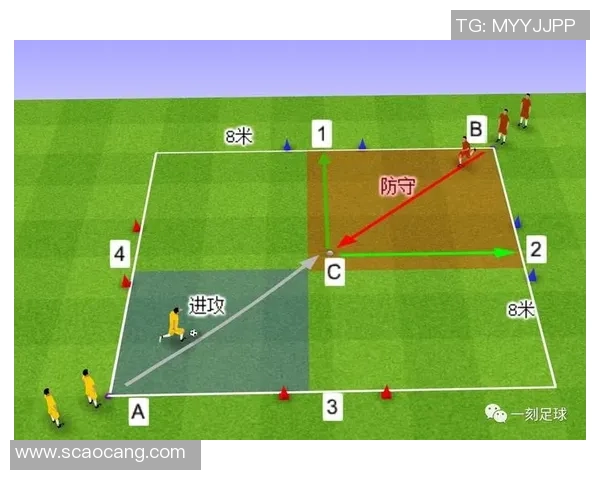 足球新手必看：从基础战术到实战技巧的全面入门指南